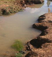 Wellwishers Australia - funding hand dug water wells in the Tigray Province, Ethiopia.