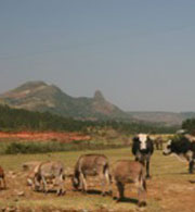 Wellwishers Australia - funding hand dug water wells in the Tigray Province, Ethiopia.